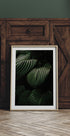 a picture of a green plant in a white frame
