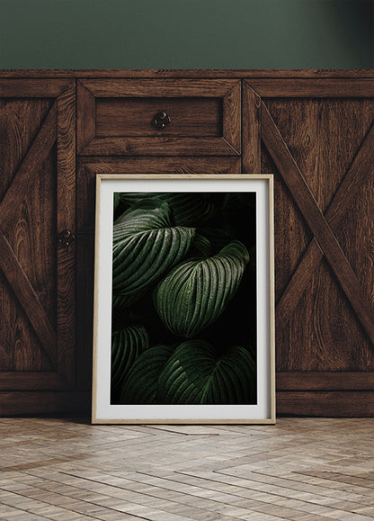 a picture of a green plant in a white frame