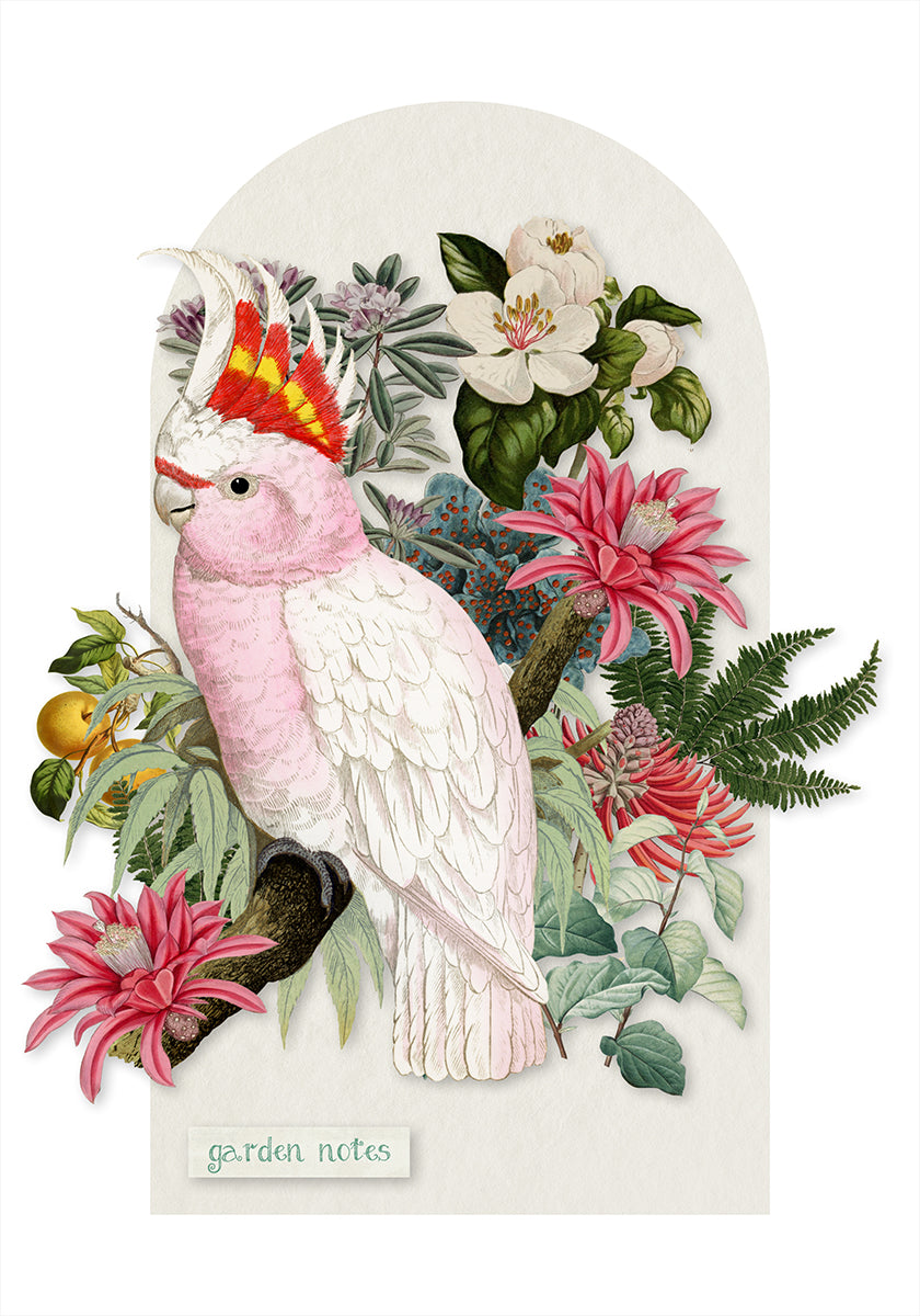 Inca Cockatoo - Collage Remix Poster
