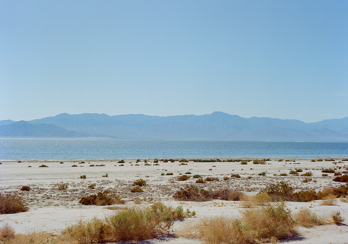 Bombay Beach Spring Poster