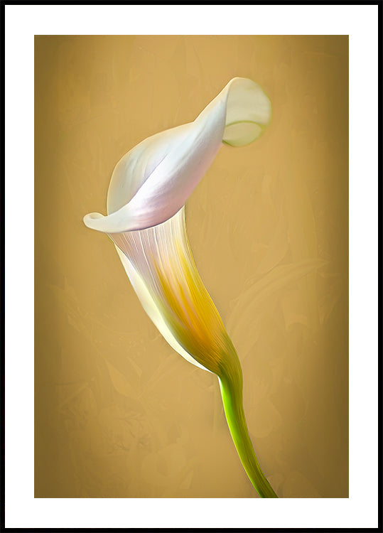 CallaLilly Poster