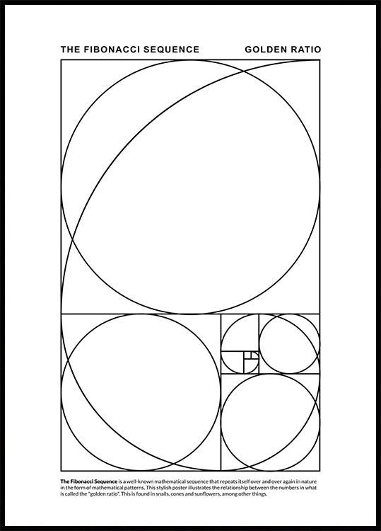 Fibonacci Sequence Plakat - Posterbox.no