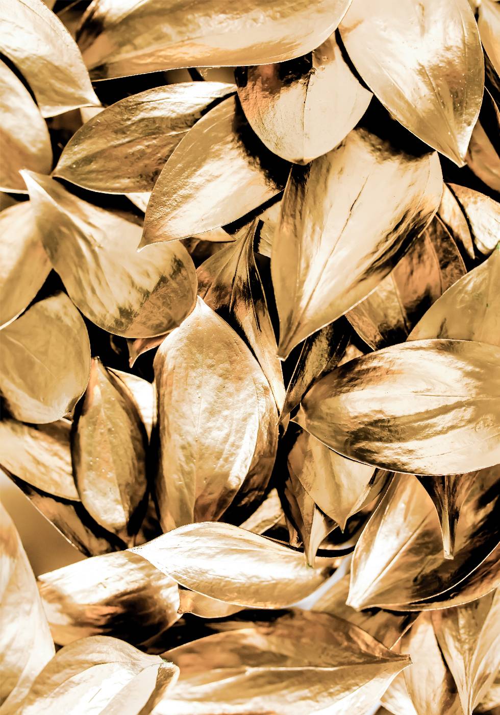 Gold Leaves Plakat - Posterbox.no