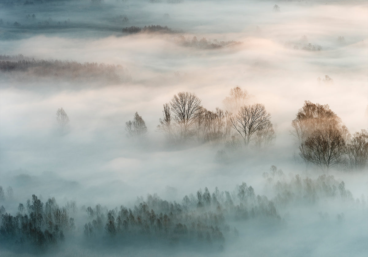 Winter fog Poster