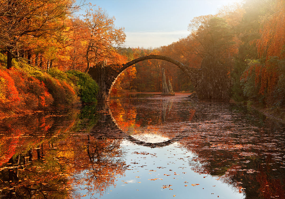 Autumn lake Poster