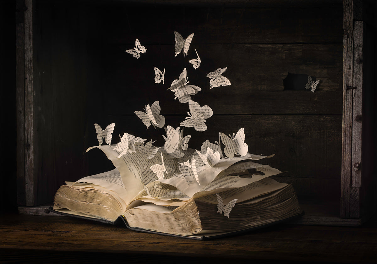 Lepidopterology