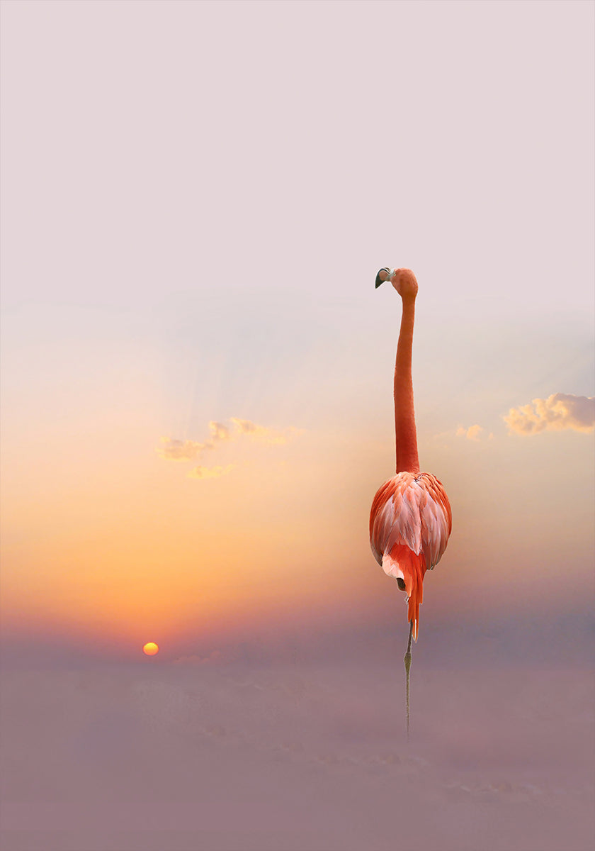 sunset ...