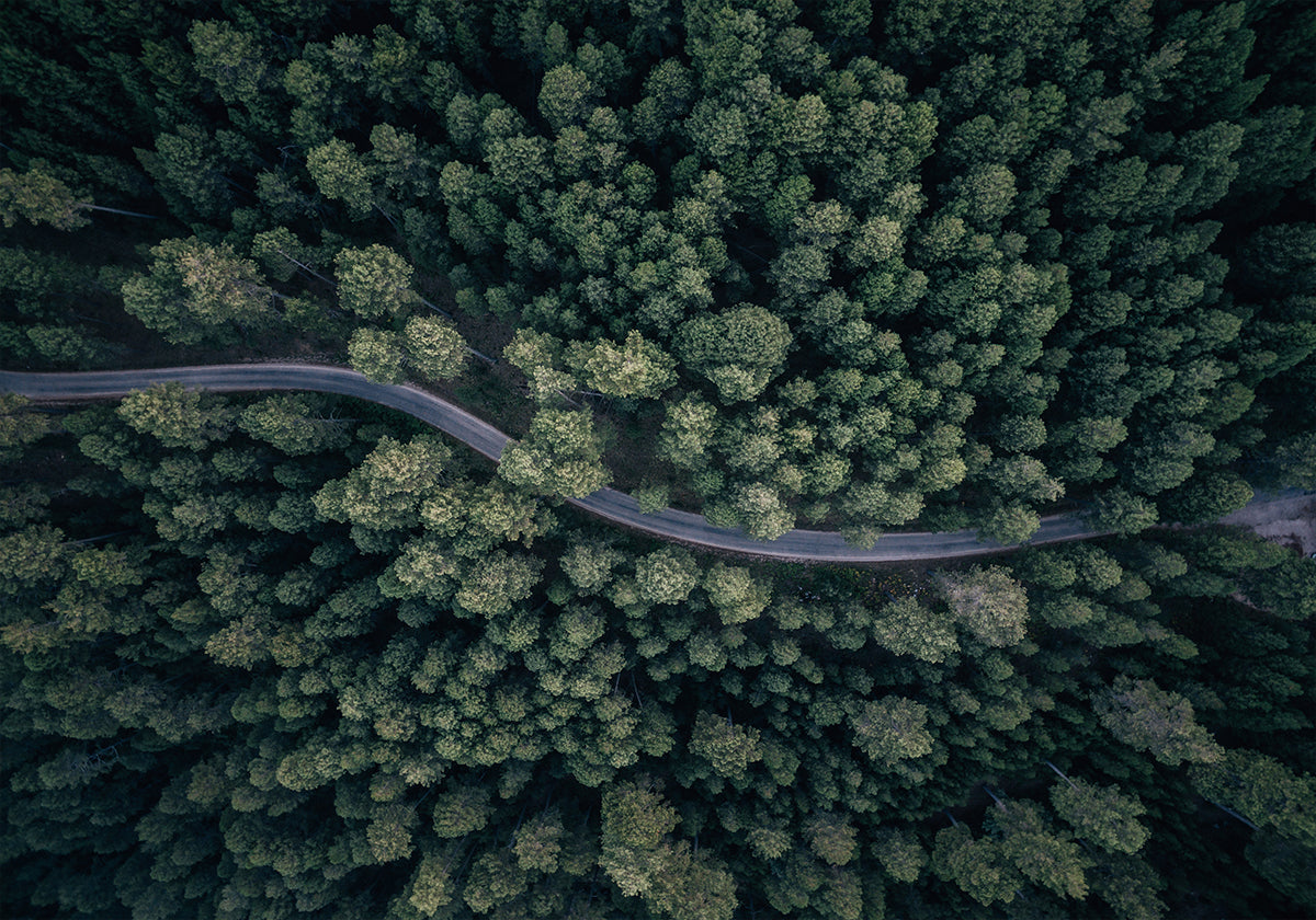From above Poster