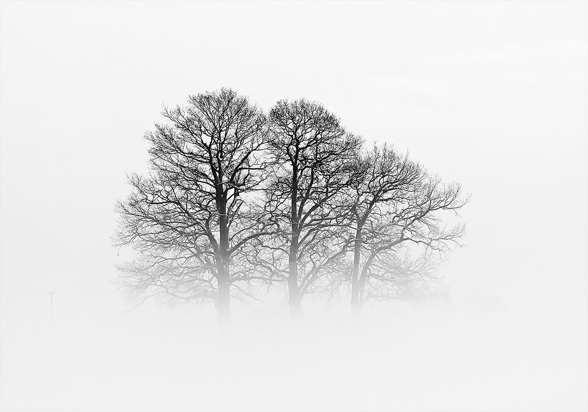 A Hazy Shade of Winter Poster