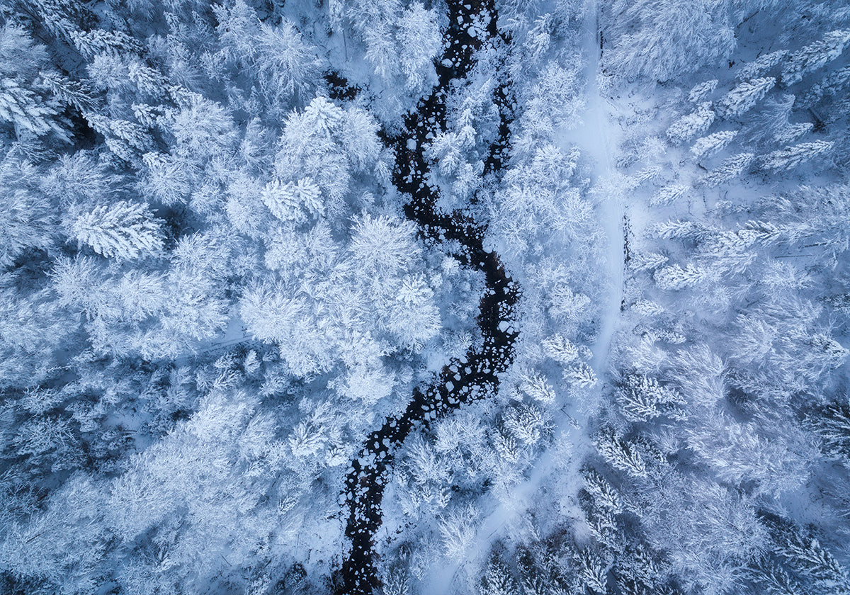 A Freezing Cold Beauty Poster