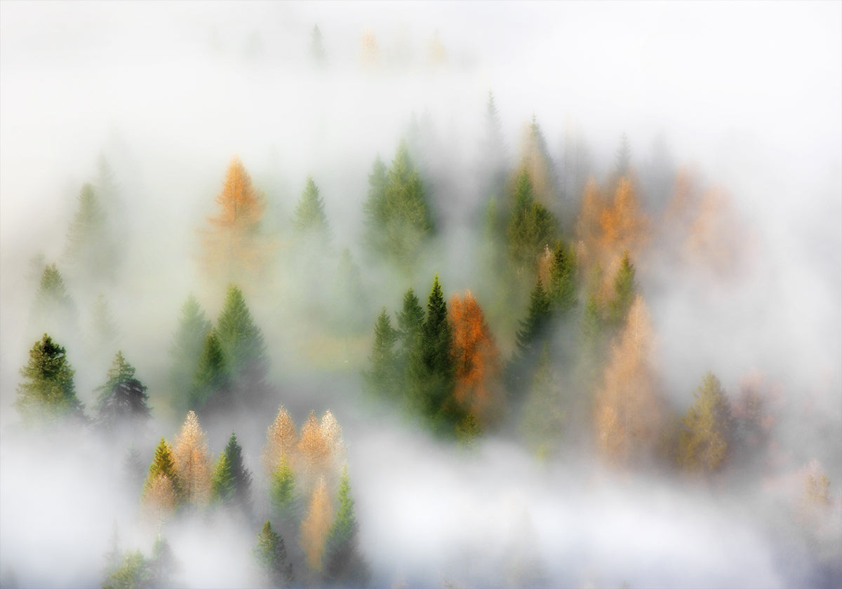 Autumn Dream Poster