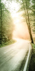 Fog Sunbeam Forest Plakat - Posterbox.no