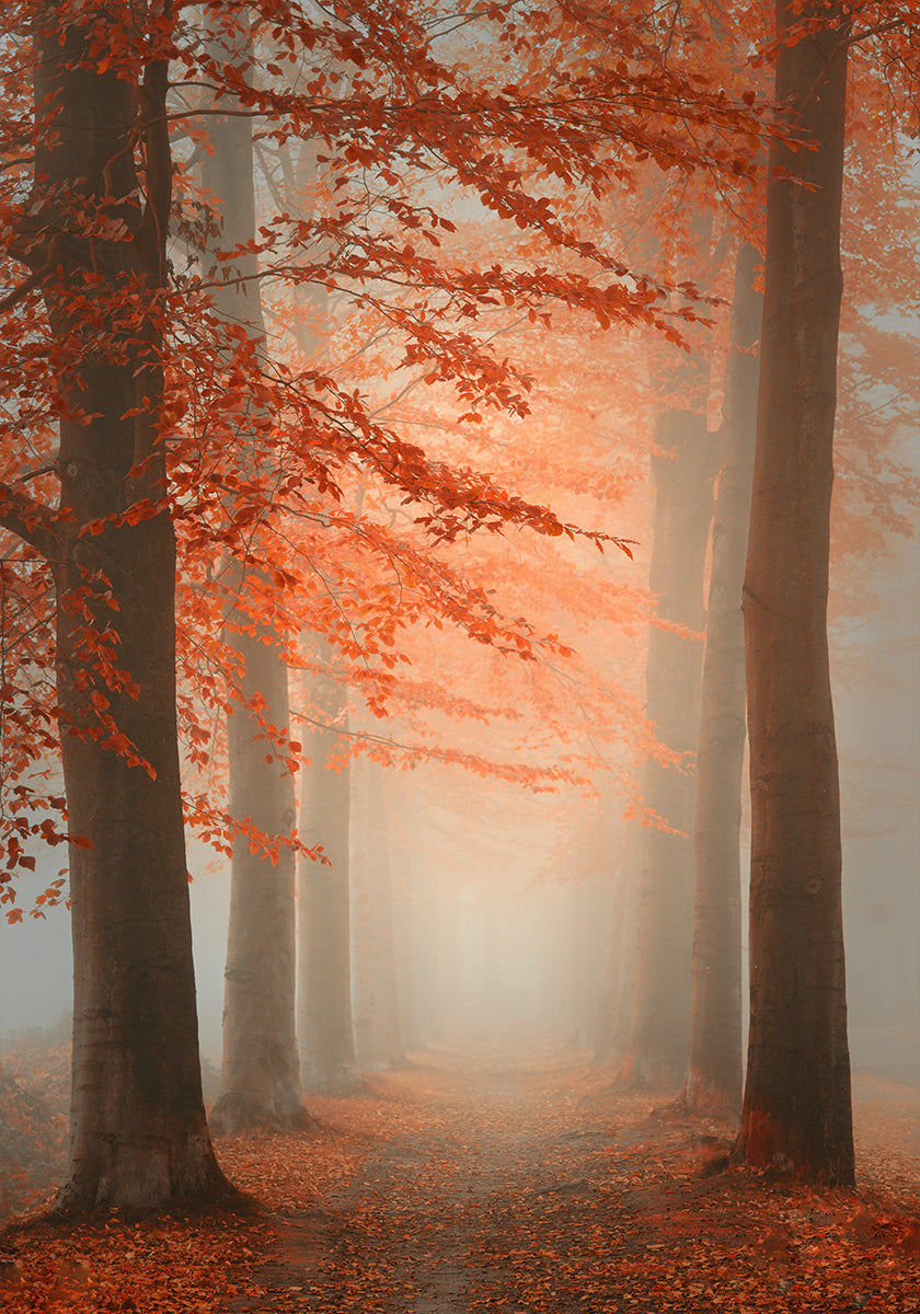 Autumn Dream Poster