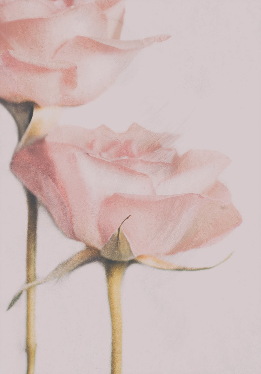 Two Roses Poster