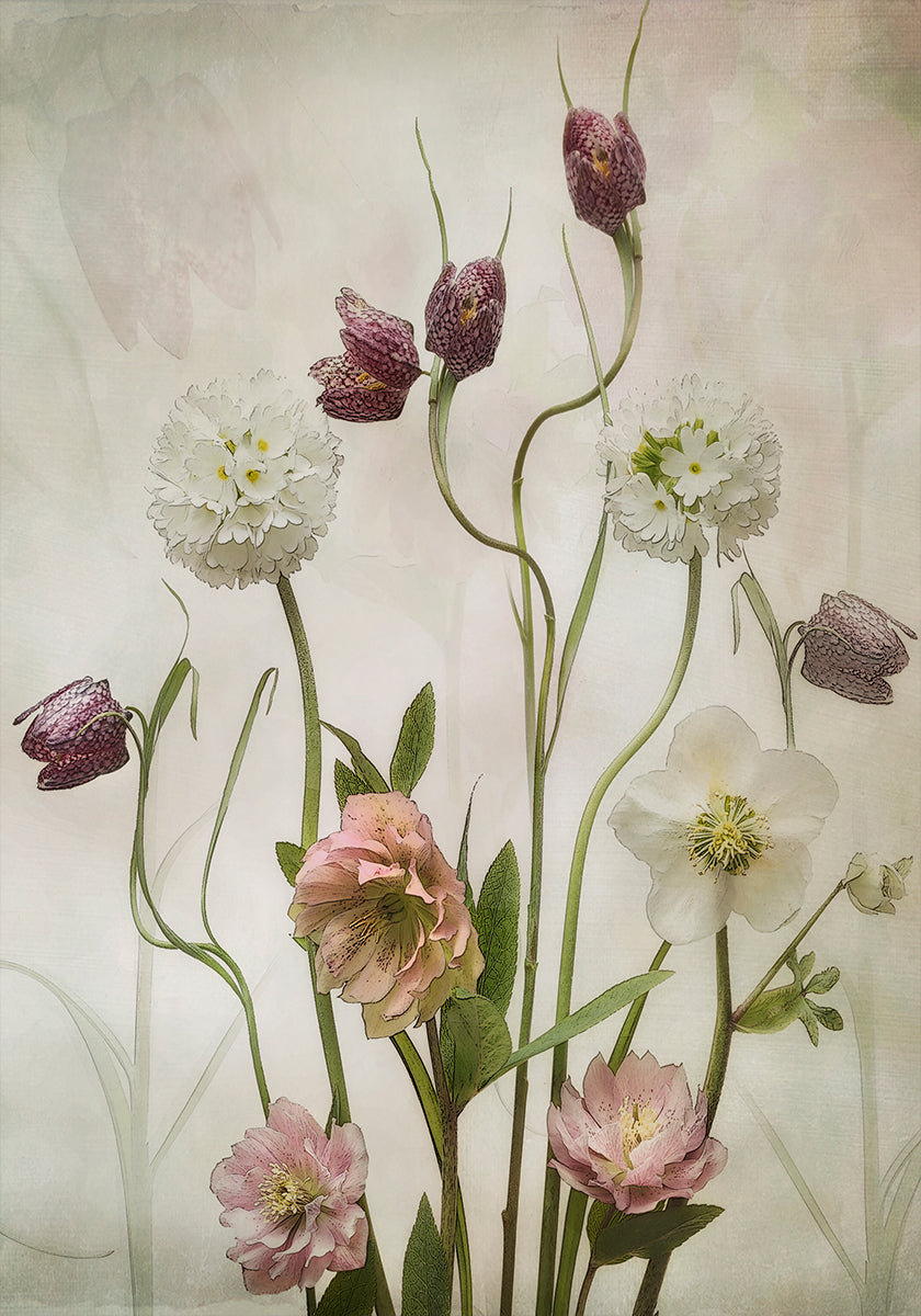 Spring Garden