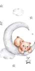 Teddy Bear Plakat - Posterbox.no