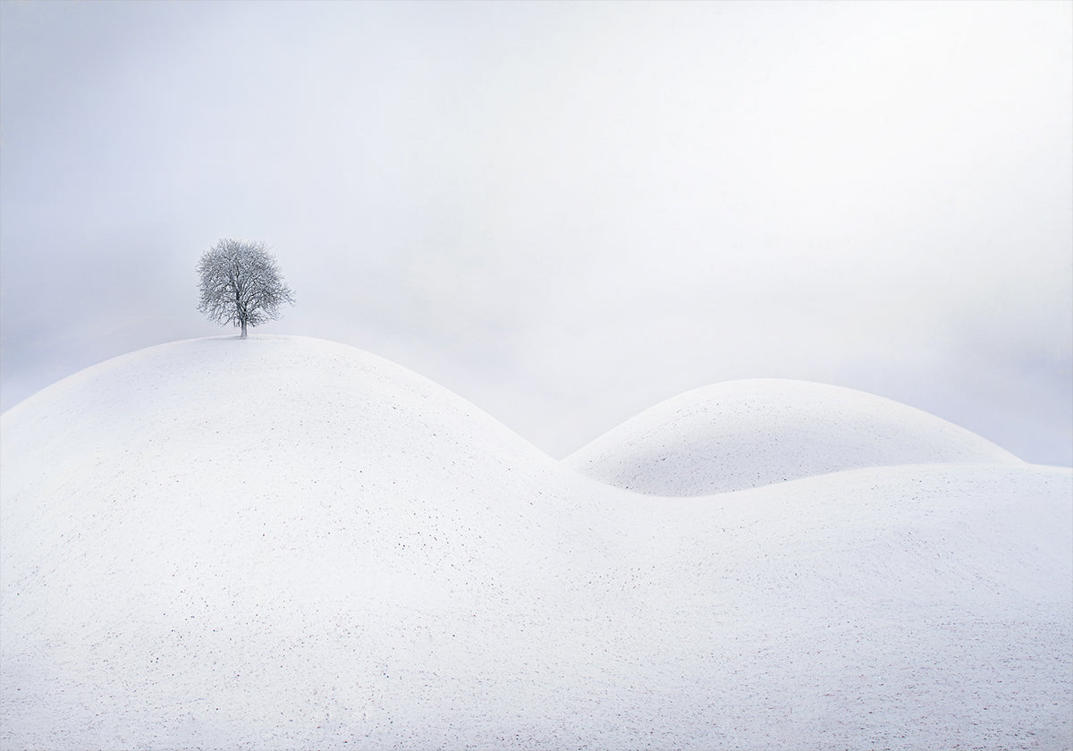 Bare Tree on Snowy Hill Poster