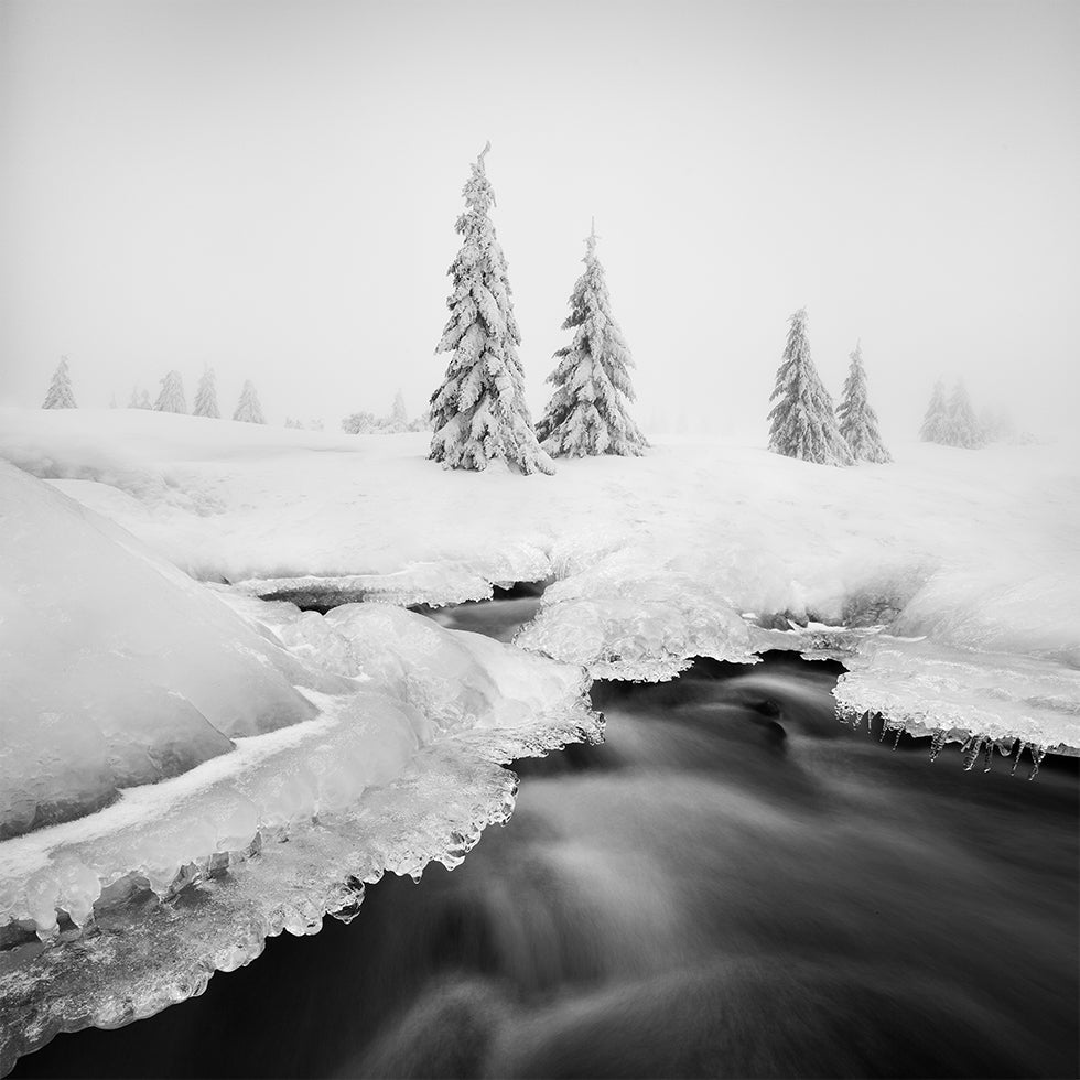 Ice creek Poster