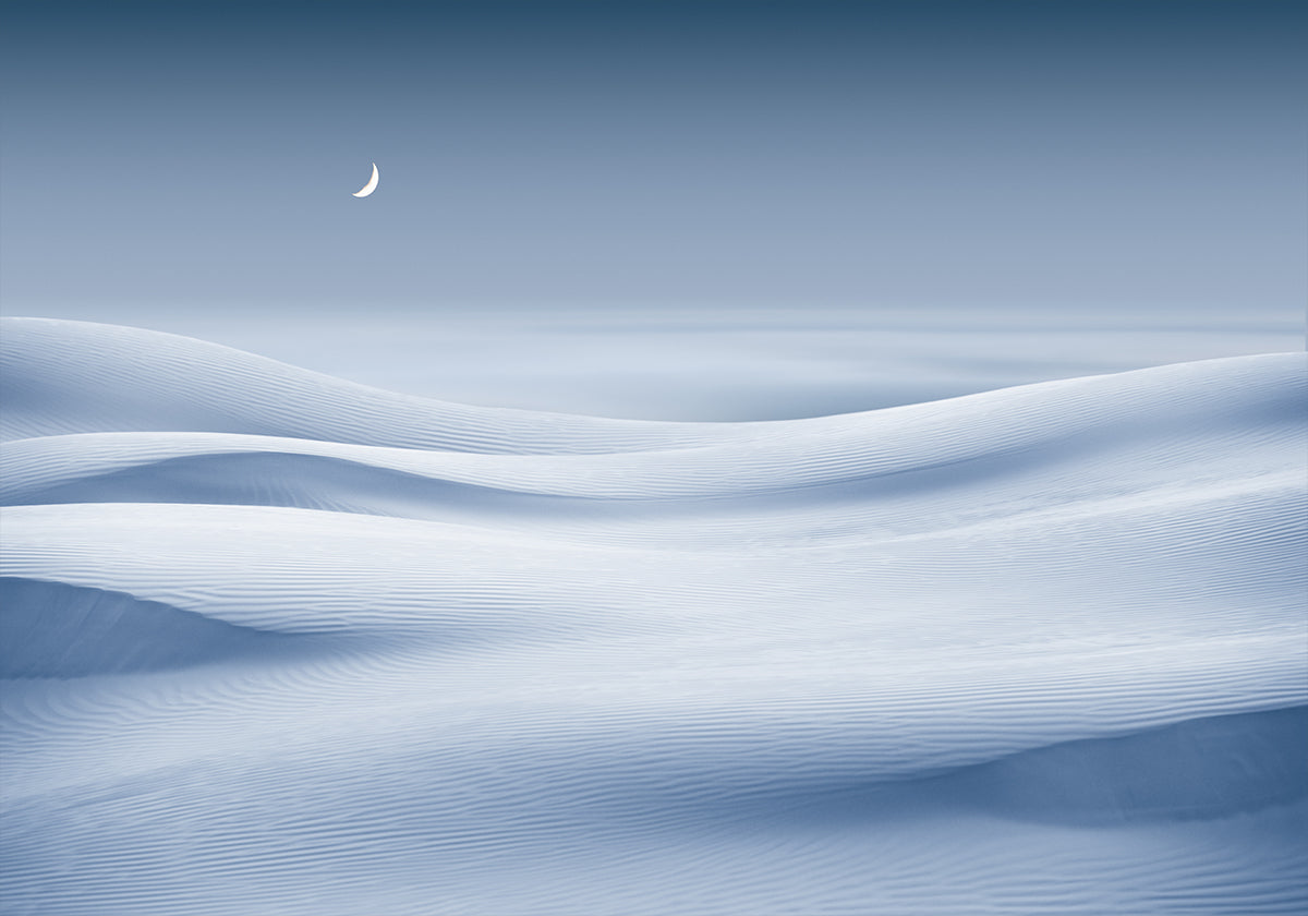 Desert By Night Poster