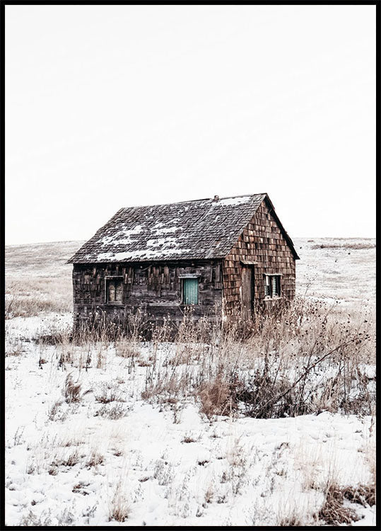 Sandhills Cabin in Snow Plakat - Posterbox.no