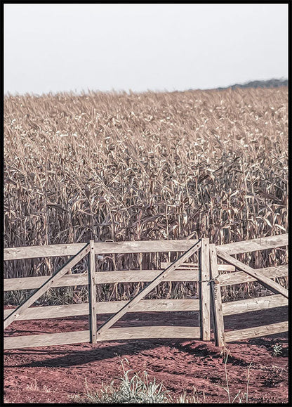 Dried Fields Landscape Plakat - Posterbox.no