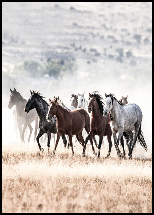 Wild Horses Free Spirit Plakat - Posterbox.no