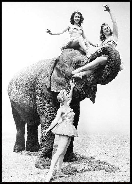 Women Riding Elephant Plakat - Posterbox.no