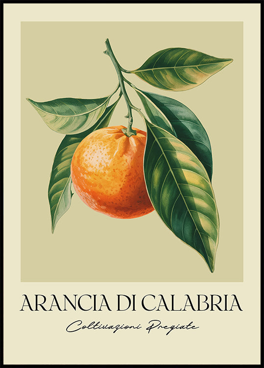 Arancia Di Calabria Poster