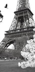 Street of Paris Plakat - Posterbox.no