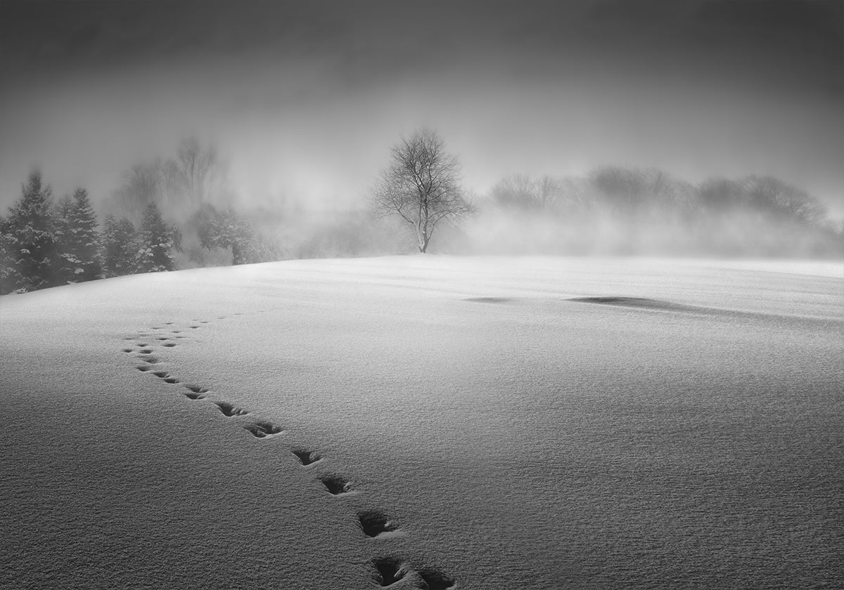 Winter scenery Poster