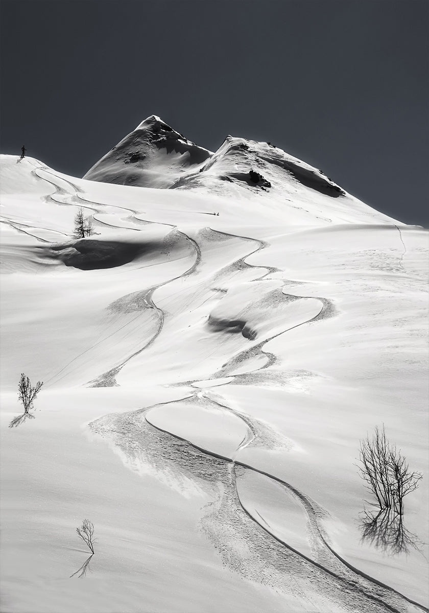 freeride Poster