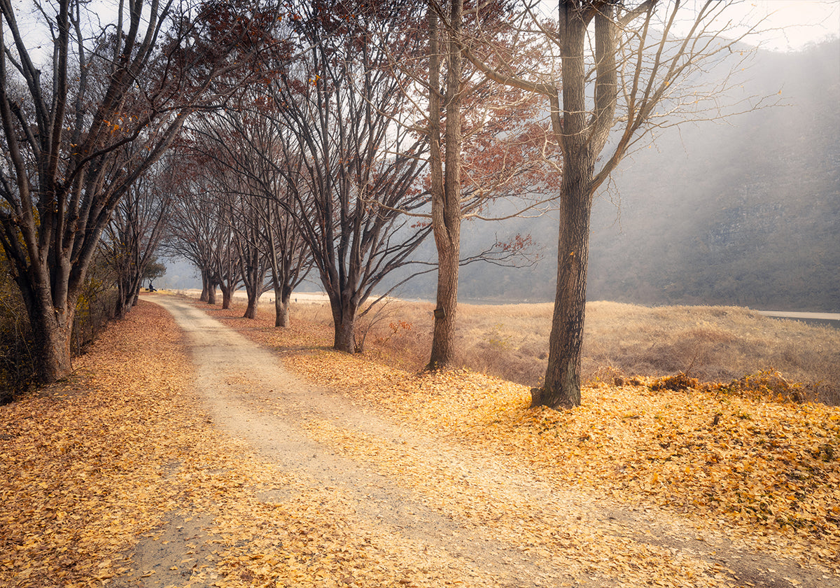 In the middle of autumn Poster