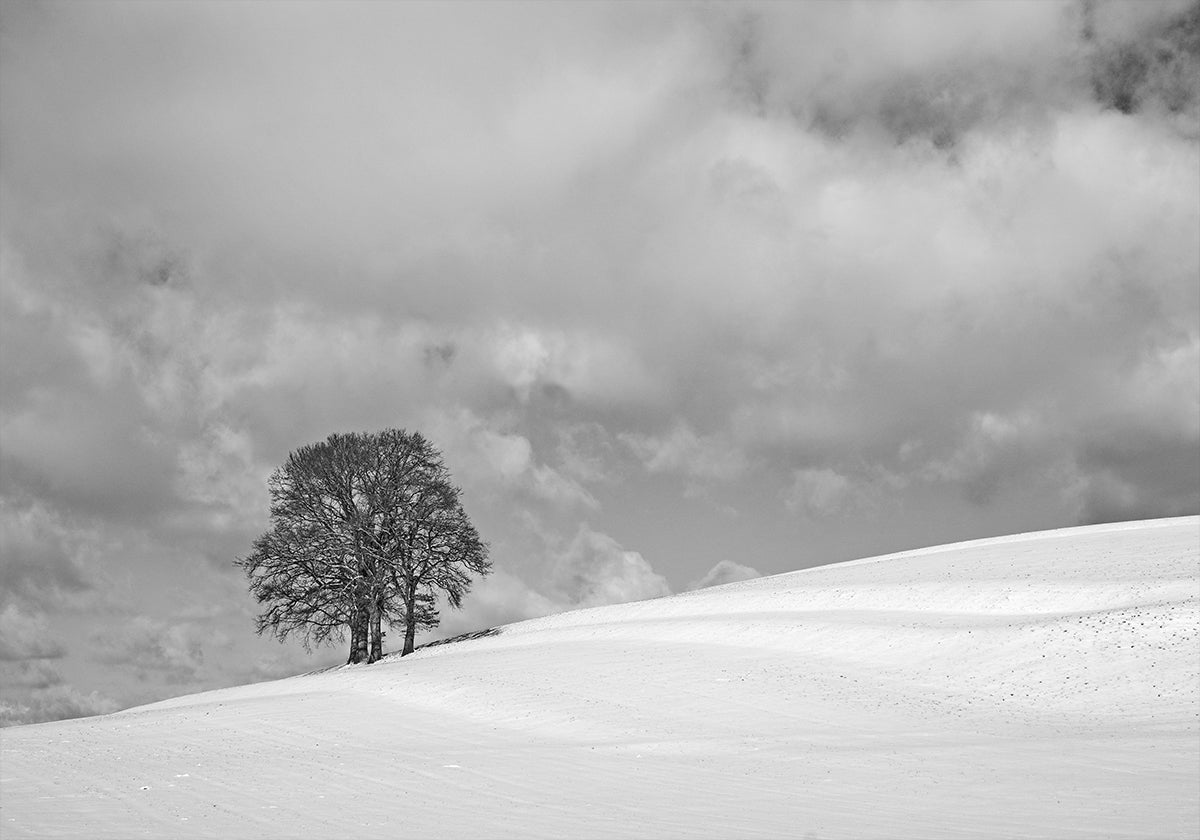 A cloudy winter day Poster