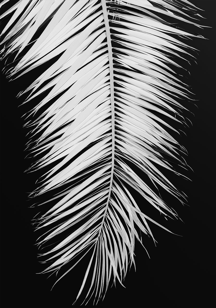 Palmleaf No.4 Poster