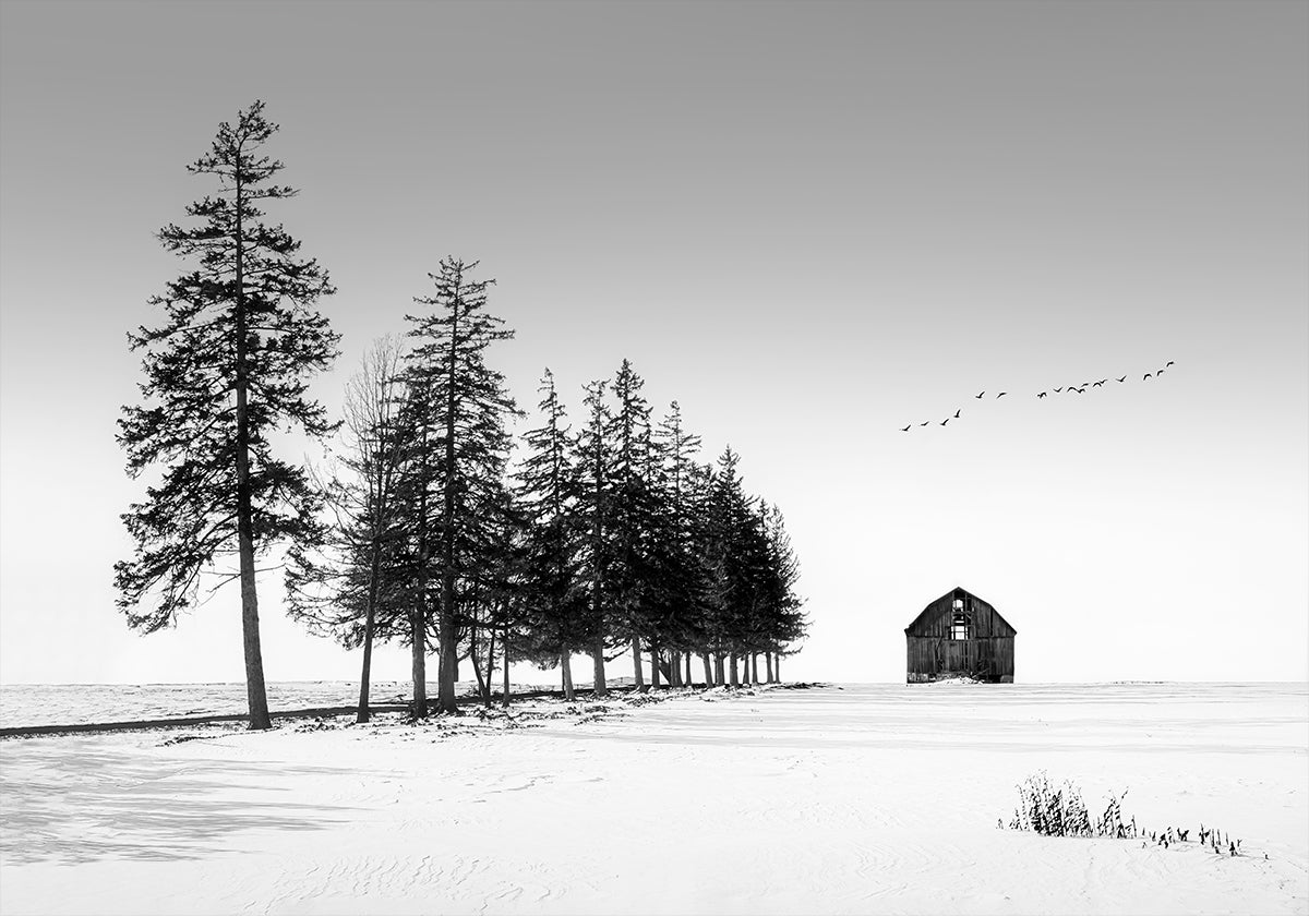 A Sunny Winter Day Poster