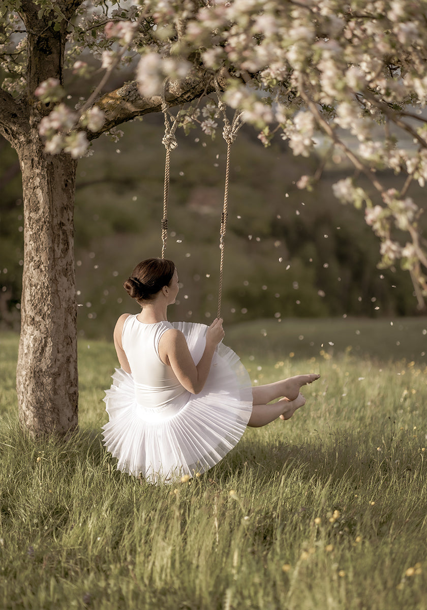cherry tree swing Poster