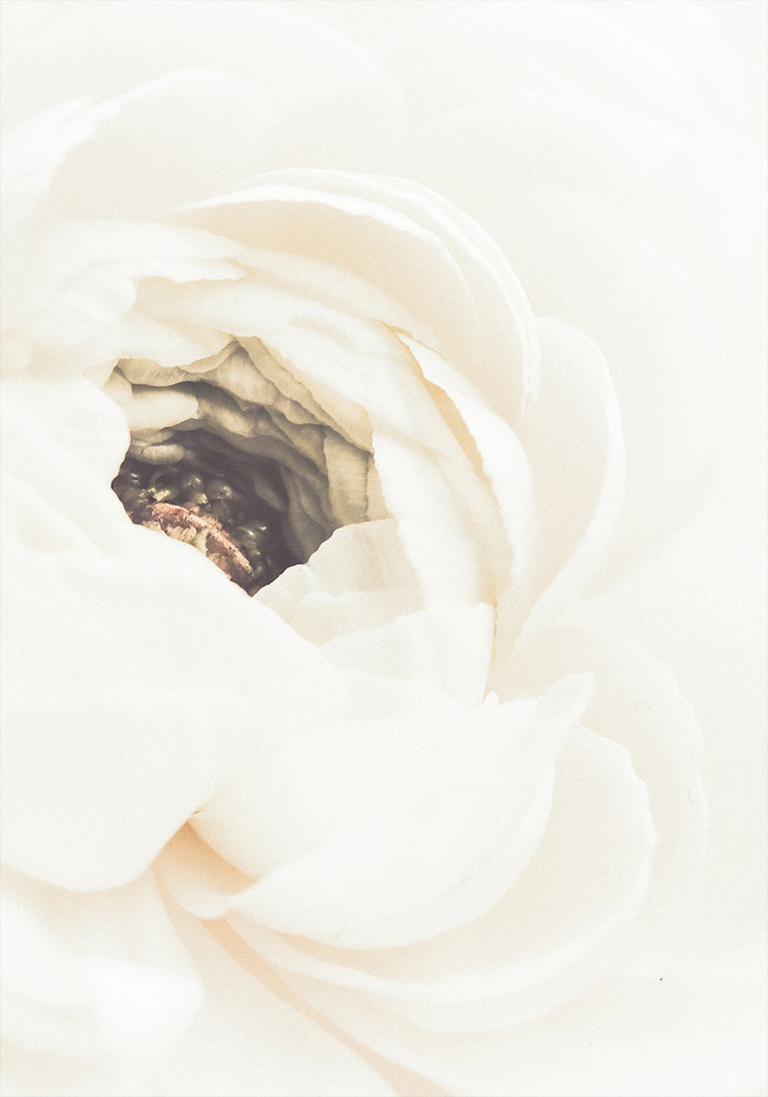 White Flower No.2 Poster