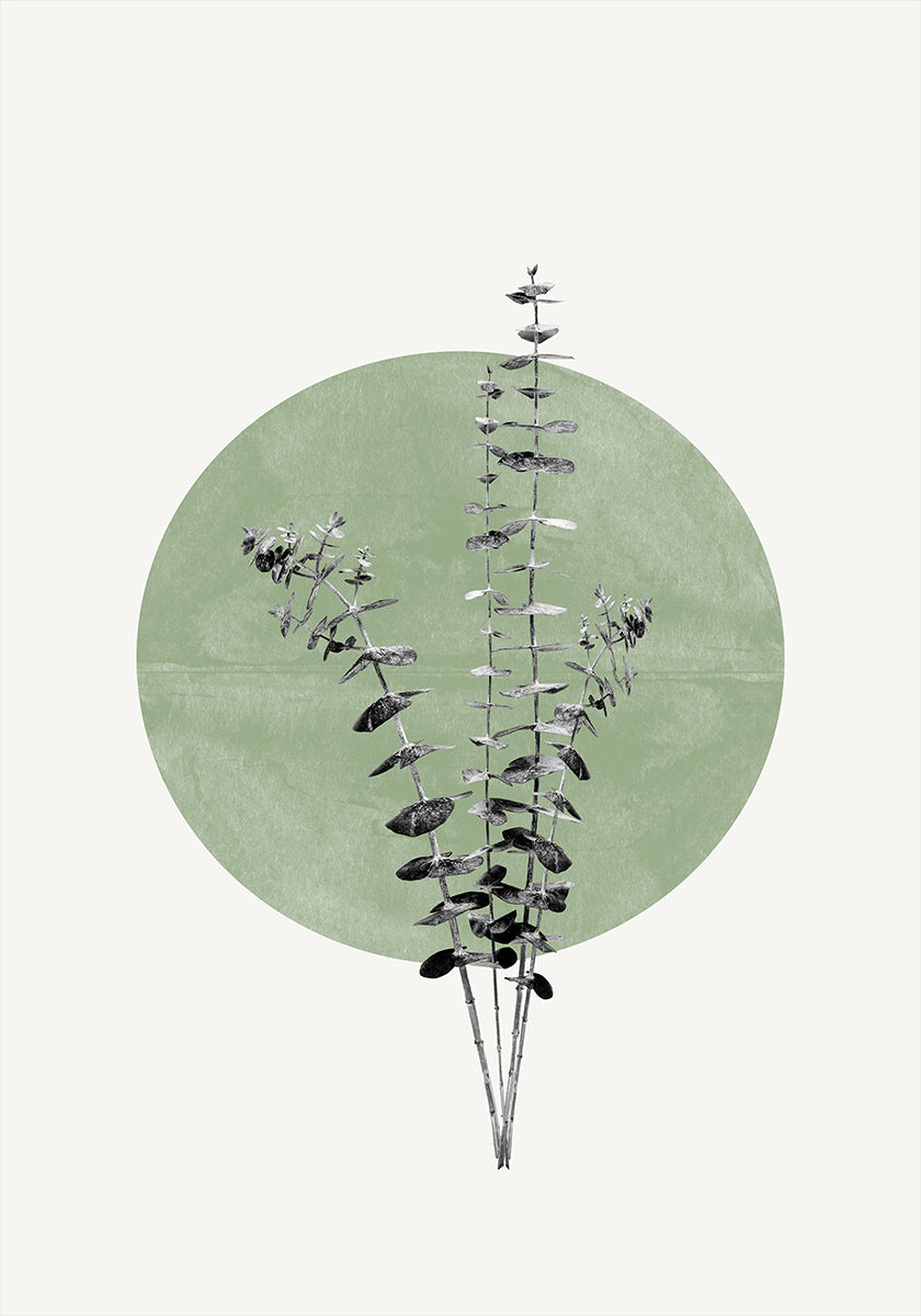 Nature & Echo  Poster