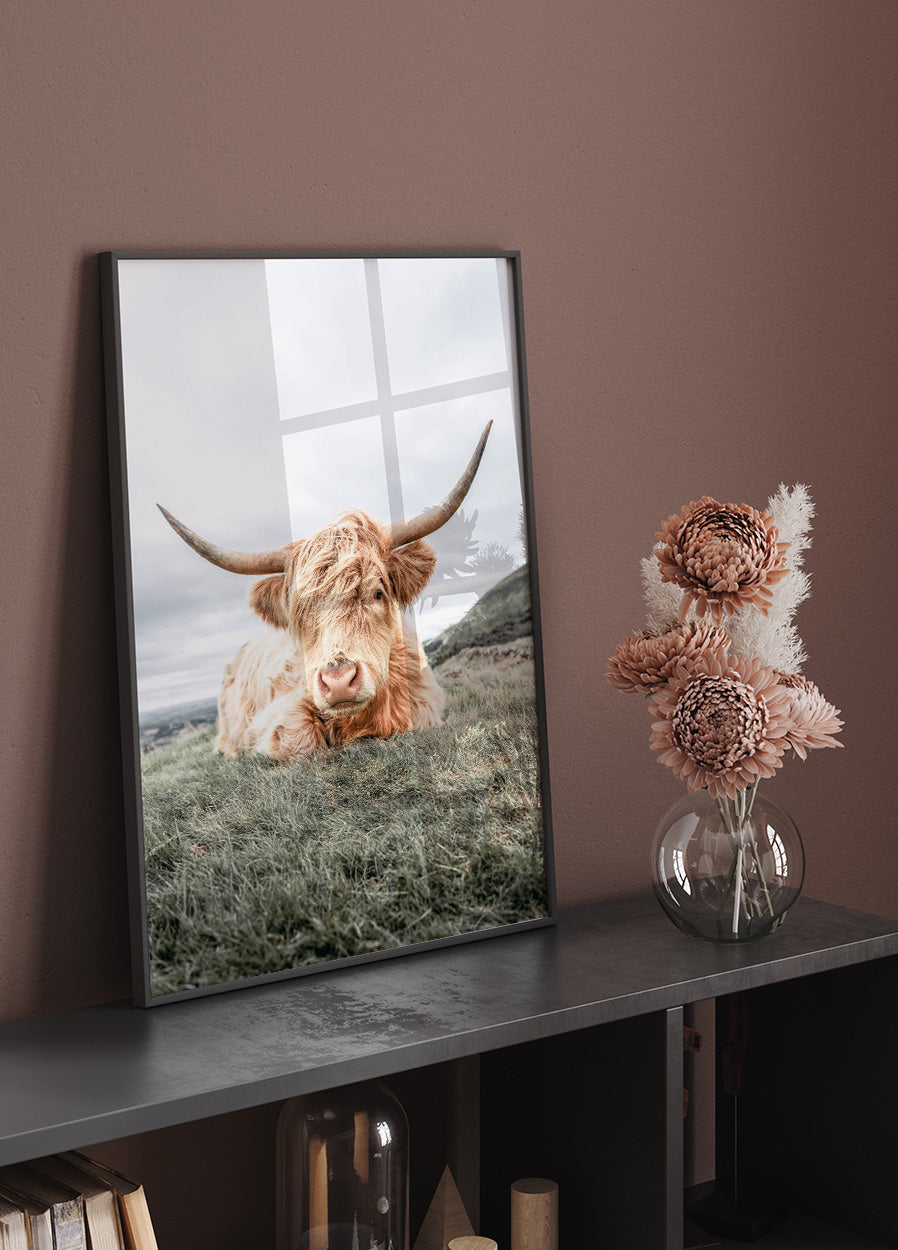 Highland Cow Chilling Poster