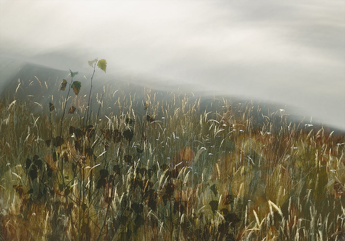 In the field Poster