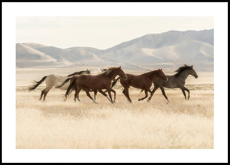 Wild Horses Running Poster