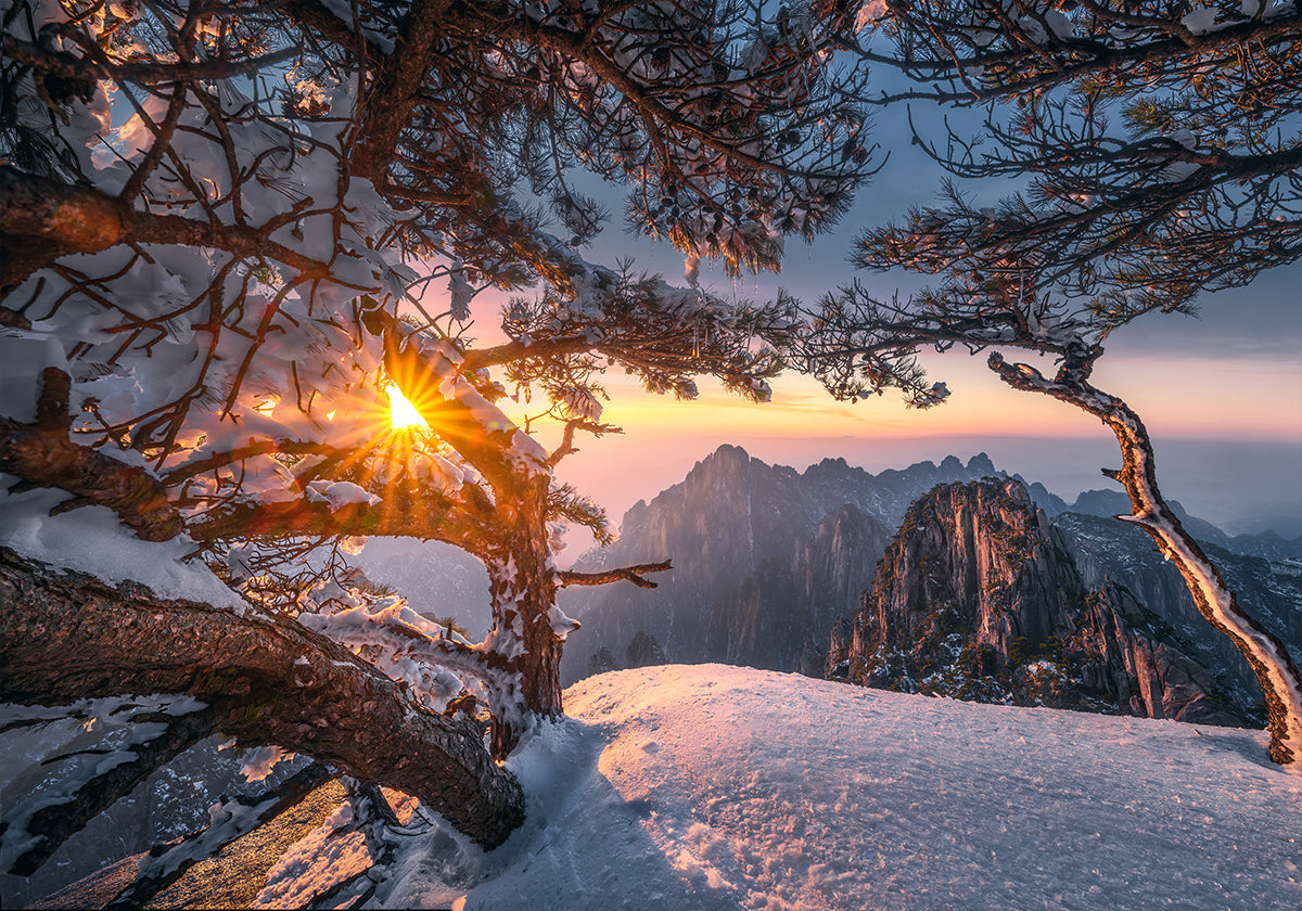 Yellow Mountain and Strange Pine after Snow Poster