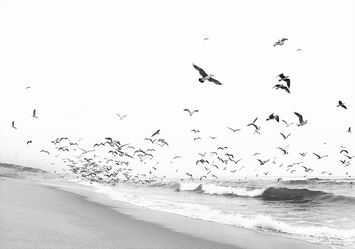 Seascape BW Poster