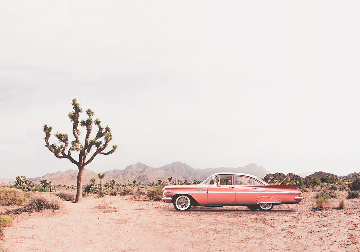 In the desert Poster