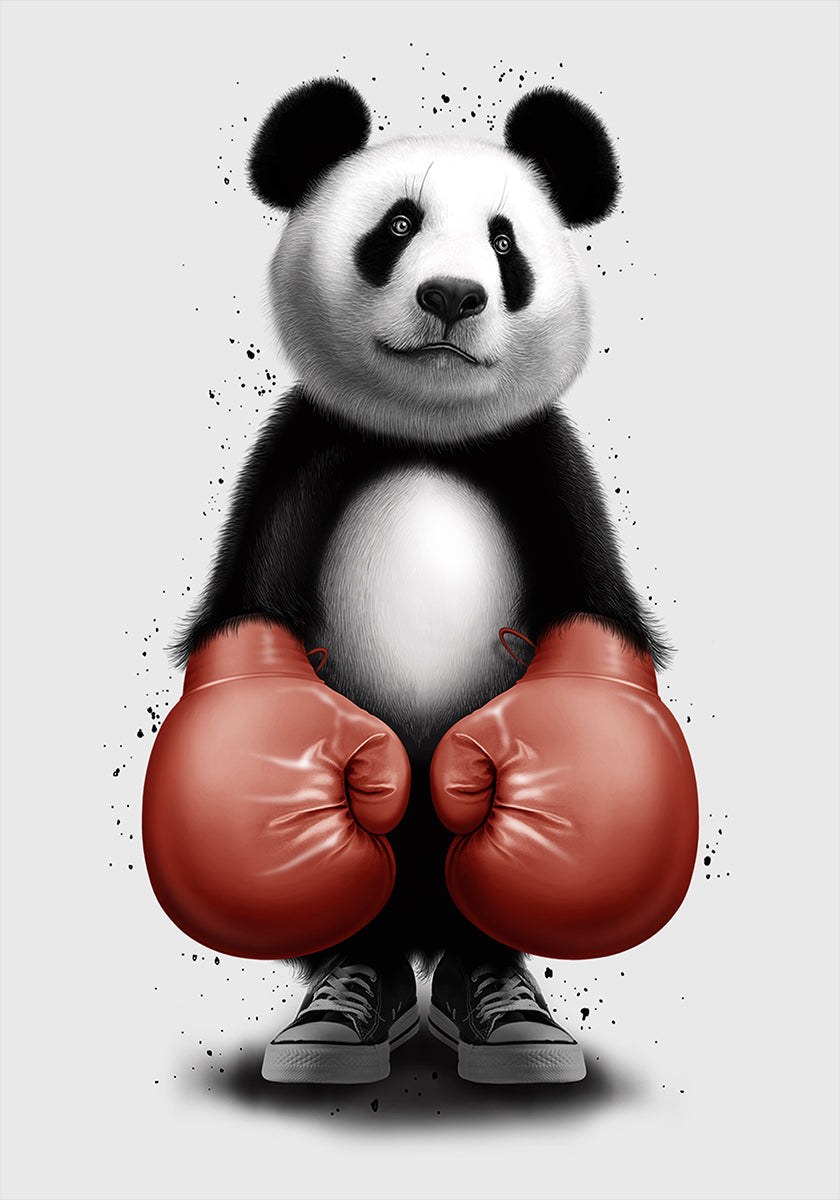 PANDA BOXER