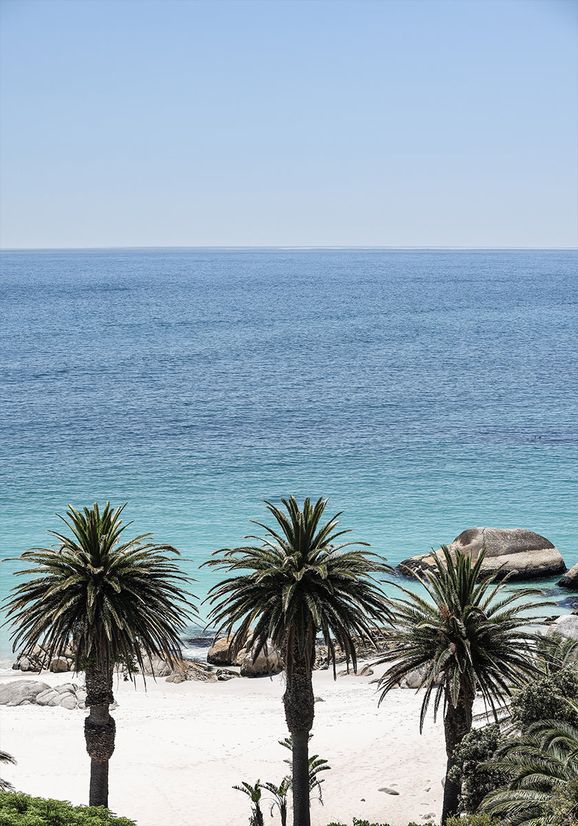 Tropical Serenity