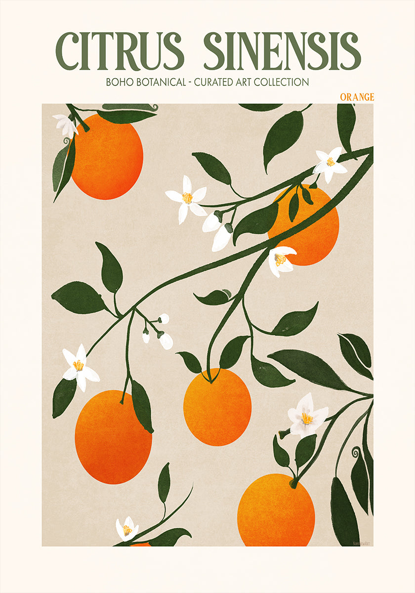 Orange Elegance