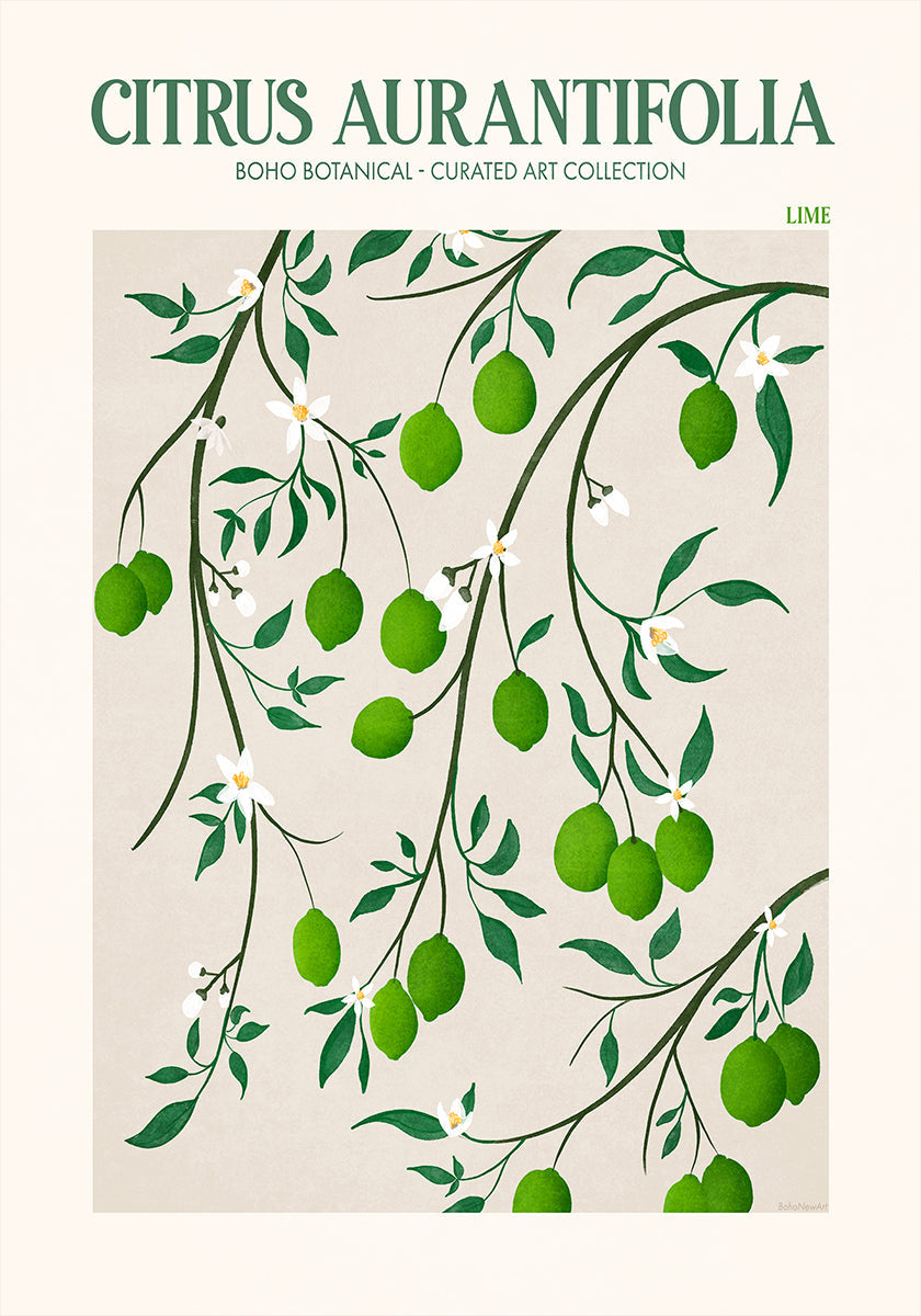 Botanical Lime Bliss Poster