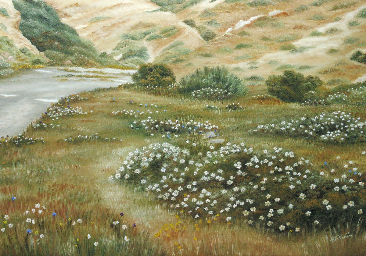 Path of Flowers Poster
