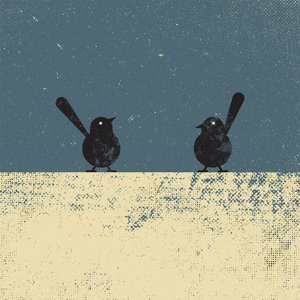 Birds Poster